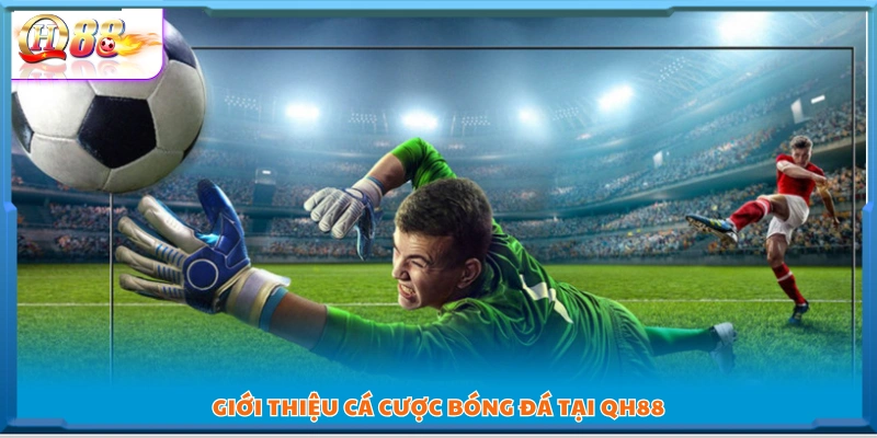 Tìm hiểu chung về cá cược đá bóng tại QH88