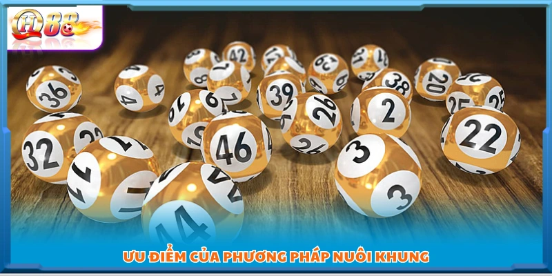 Những ưu thế khi dùng phương pháp nuôi lô đề theo khung